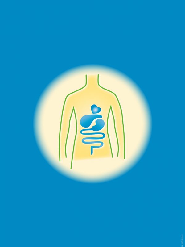 Eghart Bredow Facharzt - Briefbogen Rückseite